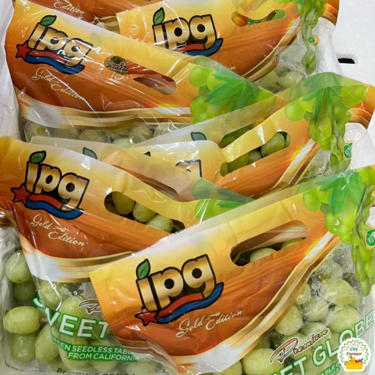 NHO XANH MỸ 