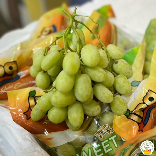 NHO XANH MỸ 