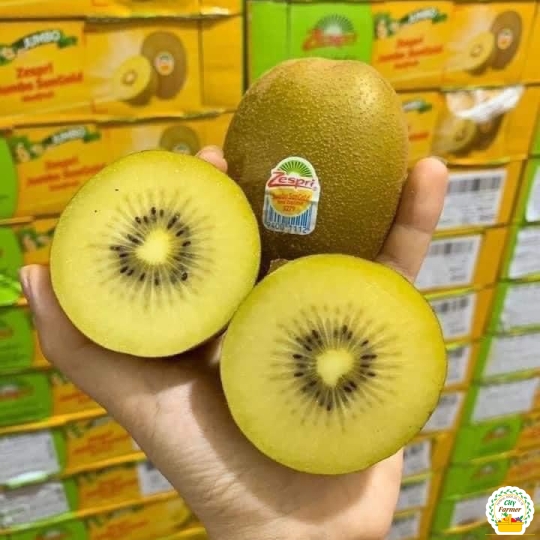 Kiwi Vàng Zespri New Zealand