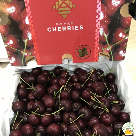 Cherry mỹ size 10